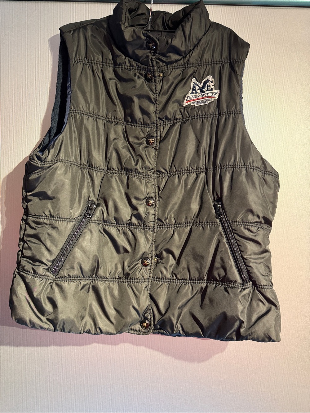 American Eagle Outfitters Black Quilted Vest